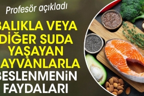 balikla-yahut-oteki-suda-yasayan-hayvanlarla-beslenmenin-yararlari-dNgZFe7B.jpg