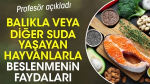 balikla-yahut-oteki-suda-yasayan-hayvanlarla-beslenmenin-yararlari-dNgZFe7B.jpg