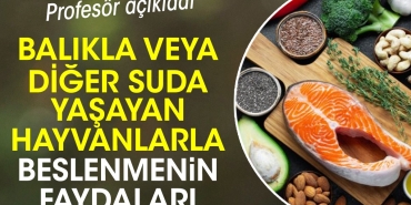 balikla-yahut-oteki-suda-yasayan-hayvanlarla-beslenmenin-yararlari-dNgZFe7B.jpg