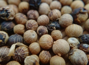 balla-karistirip-tuketildiginde-tansiyonu-dusuruyor-kisnisin-yararlari-say-say-bitmiyor-ydpZHVij.jpg