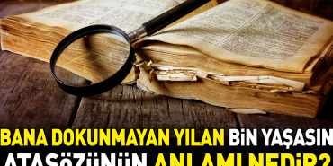 bana-dokunmayan-yilan-bin-yasasin-atasozunun-manasi-nedir-O2gXEPQq.jpg