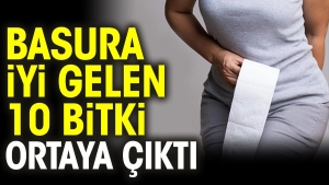 basura-duzgun-gelen-10-bitki-ortaya-cikti-MRleBHnb.jpg