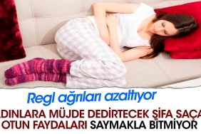 bayanlara-mujde-dedirtecek-sifa-sacan-otun-yararlari-saymakla-bitmiyor-regl-agrilari-azaltiyor-tMrpgus2.jpg