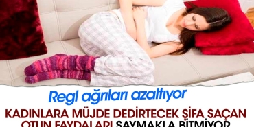 bayanlara-mujde-dedirtecek-sifa-sacan-otun-yararlari-saymakla-bitmiyor-regl-agrilari-azaltiyor-tMrpgus2.jpg