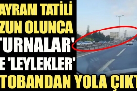bayram-tatili-uzun-olunca-turnalar-ve-leylekler-otobanda-yola-cikti-fxSkiwxY.jpg