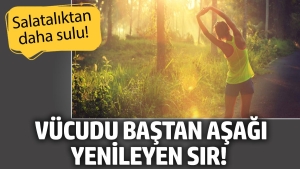 bedeni-bastan-asagi-yenileyen-sir-salataliktan-daha-sulu-yararlari-say-say-bitmiyor-zMXe9wO4.jpg