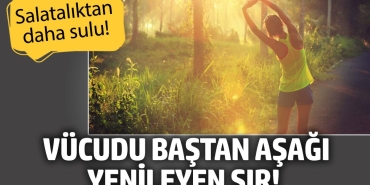 bedeni-bastan-asagi-yenileyen-sir-salataliktan-daha-sulu-yararlari-say-say-bitmiyor-zMXe9wO4.jpg