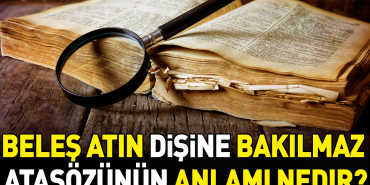 beles-atin-disine-bakilmaz-atasozunun-manasi-nedir-hwqUzmM5.jpg