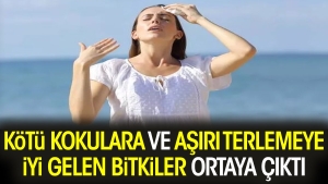 berbat-kokulara-ve-cok-terlemeye-yeterli-gelen-bitkiler-ortaya-cikti-yjMUGn9j.jpg