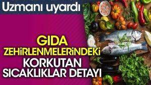 besin-zehirlenmelerindeki-korkutan-sicakliklar-ayrintisi-uzmani-uyardi-c4vQfmvt.jpg