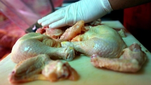 besinlerden-bulasan-salgin-salmonella-nedir-belirtileri-nelerdir-BiOVnwNy.jpg