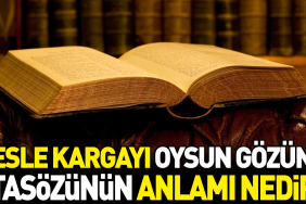 besle-kargayi-oysun-gozunu-atasozunun-manasi-nedir-rFY6IKB9.jpg