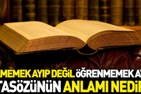 bilmemek-ayip-degil-ogrenmemek-ayip-atasozunun-manasi-nedir-K2MrGxpN.jpg
