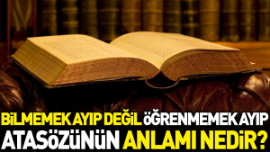 bilmemek-ayip-degil-ogrenmemek-ayip-atasozunun-manasi-nedir-K2MrGxpN.jpg