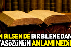 bin-bilsen-de-bir-bilene-danis-atasozunun-manasi-nedir-VfzHr3am.jpg