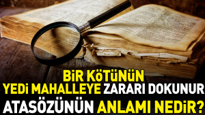 bir-berbatin-yedi-mahalleye-ziyani-dokunur-atasozunun-manasi-nedir-PTrtJ7Gt.jpg