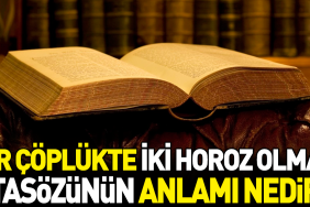 bir-coplukte-iki-horoz-olmaz-atasozunun-manasi-nedir-efzE7xL1.jpg