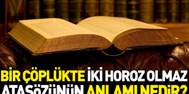 bir-coplukte-iki-horoz-olmaz-atasozunun-manasi-nedir-efzE7xL1.jpg