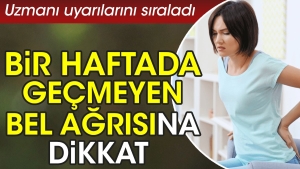 bir-haftada-gecmeyen-bel-agrisina-dikkat-uzmani-ikazlarini-siraladi-b5YQ63wB.jpg