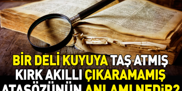 bir-meczup-kuyuya-tas-atmis-kirk-akilli-cikaramamis-atasozunun-manasi-nedir-rLvsedlX.jpg