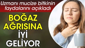 bogaz-agrisina-l-geliyor-uzmani-mucize-bitkinin-yararlarini-acikladi-PfRf3mfM.jpg