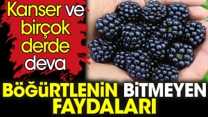 bogurtlenin-bitmeyen-yararlari-kanser-ve-bircok-kaygiya-deva-GJAAmStQ.jpg
