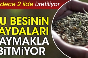 bu-besinin-yararlari-saymakla-bitmiyor-yalnizca-2-vilayette-uretiliyor-MmlNABbz.jpg