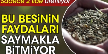 bu-besinin-yararlari-saymakla-bitmiyor-yalnizca-2-vilayette-uretiliyor-MmlNABbz.jpg