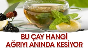 bu-cay-goz-agrisina-uygun-geliyor-ikPRu4GF.jpg