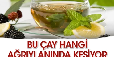 bu-cay-goz-agrisina-uygun-geliyor-ikPRu4GF.jpg