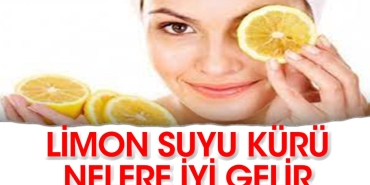 bu-limon-kuru-bir-olaganustu-sYYp3mkc.jpg