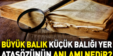 buyuk-balik-kucuk-baligi-yer-atasozunun-manasi-nedir-7jQnzhJS.jpg