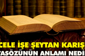 cabuk-ise-seytan-karisir-atasozunun-manasi-nedir-Z7Du8cwF.jpg