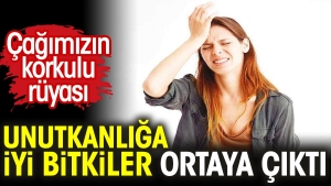 cagimizin-dehsetli-dusu-unutkanliga-guzel-bitkiler-ortaya-cikti-Dfpz23SH.jpg