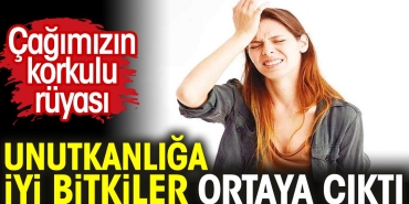 cagimizin-dehsetli-dusu-unutkanliga-guzel-bitkiler-ortaya-cikti-Dfpz23SH.jpg