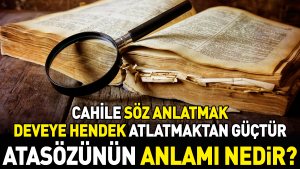 cahile-kelam-anlatmak-deveye-hendek-atlatmaktan-guctur-atasozunun-manasi-nedir-kus7COw1.jpg