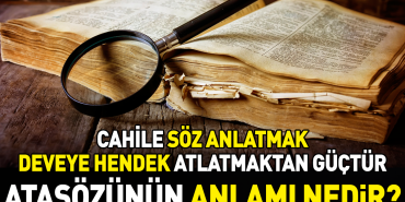 cahile-kelam-anlatmak-deveye-hendek-atlatmaktan-guctur-atasozunun-manasi-nedir-kus7COw1.jpg