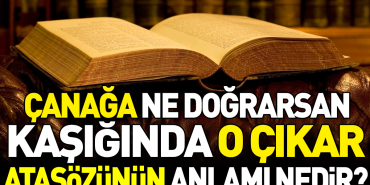 canaga-ne-dograrsan-kasiginda-o-cikar-atasozunun-manasi-nedir-1TqZTTxW.jpg