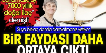 canan-karatayin-7000-yillik-dogal-ilac-dedigi-karisimin-bir-yarari-daha-ortaya-cikti-j8hVq7ZE.jpg
