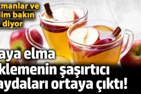 caya-elma-eklemenin-sasirtan-yararlari-ortaya-cikti-uzmanlar-ve-bilim-bakin-ne-diyor-4qlHADDF.jpg
