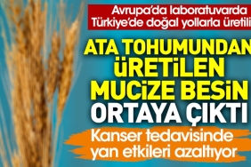 cet-tohumundan-uretilen-mucize-besin-ortaya-cikti-kanser-tedavisinde-yan-tesirleri-azaltiyor-9WBgEhJp.jpg