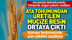 cet-tohumundan-uretilen-mucize-besin-ortaya-cikti-kanser-tedavisinde-yan-tesirleri-azaltiyor-9WBgEhJp.jpg