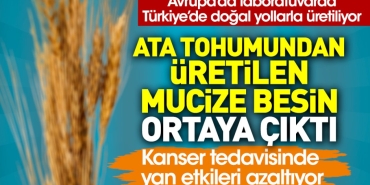 cet-tohumundan-uretilen-mucize-besin-ortaya-cikti-kanser-tedavisinde-yan-tesirleri-azaltiyor-9WBgEhJp.jpg