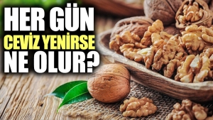 cevizin-yararlari-neler-her-gun-ceviz-tuketilirse-ne-olur-iRjgwAlK.jpg