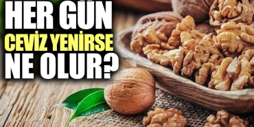 cevizin-yararlari-neler-her-gun-ceviz-tuketilirse-ne-olur-iRjgwAlK.jpg