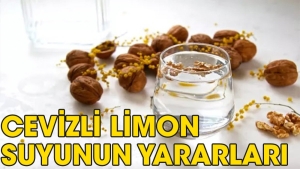 cevizli-limon-suyu-neye-yeterli-gelir-BkfzG4PZ.jpg