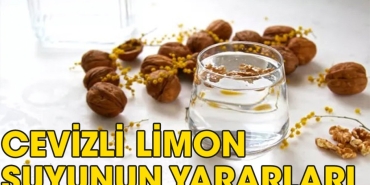 cevizli-limon-suyu-neye-yeterli-gelir-BkfzG4PZ.jpg