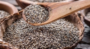 chia-tohumunun-icinde-hangi-vitaminler-var-chia-tohumunun-faydalari-JXyh7l9M.jpg