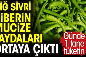 cig-sivri-biberin-mucize-yararlari-ortaya-cikti-gunde-1-tane-tuketin-huMdZ564.jpg