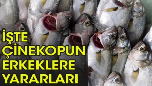 cinekop-bebek-sahibi-olmaya-fayda-mi-yY6GgOHI.jpg